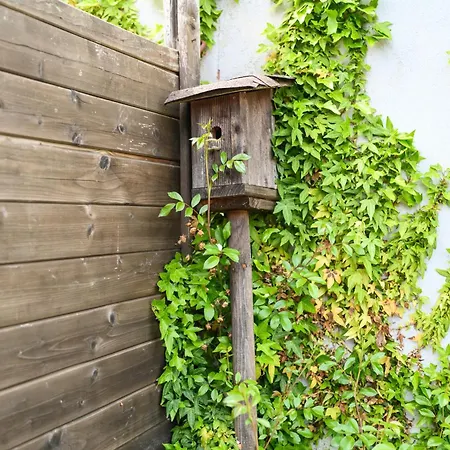 La Petite Maison Des 別荘 ケゼルスベール